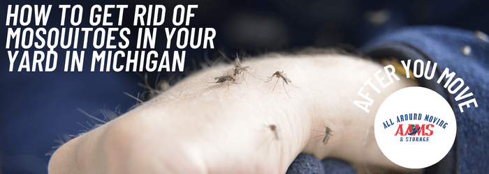 Michigan Mosquito Removal