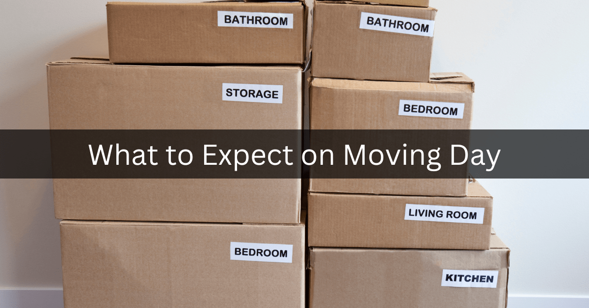 what to expect on moving day