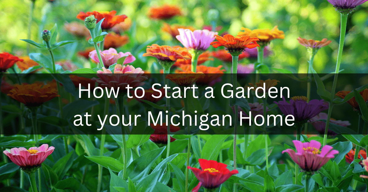moving to Michigan